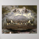 Recherche de vue de face posters Dehors