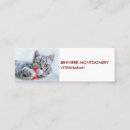 Recherche de gris chat cartes visite Tabby