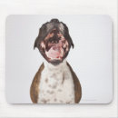 Recherche de chien boxeur tapis souris Tir de studio