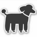 Recherche de taille standard électronique Caniche
