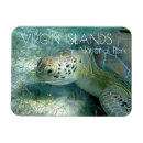 Recherche de tortue mer magnets Sous marin