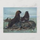 Recherche de marine vintage cartes postales Faune