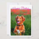 Recherche de de chiots anniversaire invitations Dogs