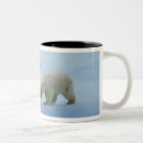 Recherche de polaire ours tasses Nature