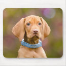 Recherche de chiot mignon tapis souris Drôle