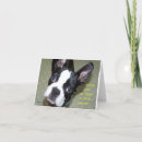 Zoek naar oude hond kaarten Groet