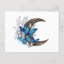 Zoek naar vlinder blauw briefkaarten Mot