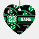 Recherche de beach ball ornements Volley