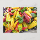 Recherche de poivre cartes postales Jardin