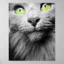 Zoek naar groene ogen posters Portret