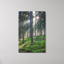 Recherche de schwarzwald posters Bawurtemberg