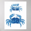 Recherche de crustac posters Pour elle