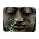 Recherche de culturel magnets Asiatique