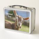 Zoek naar boerderij lunchboxen Schuur