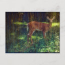 Recherche de whitetail deer posters Bois