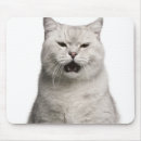 Zoek naar british muismatten Dieren