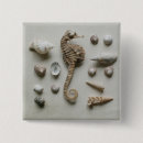 Recherche de hippocampes badges Plage