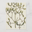 Recherche de herbe cartes postales Baie