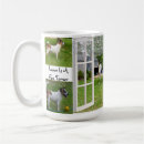 Recherche de amour renard tasses Animal