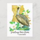 Recherche de louisiana cartes postales Pélican brun
