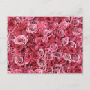 Recherche de bourgeon rose cartes postales Fleurs