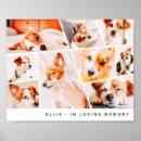 Zoek naar pet memorial posters In liefdevol geheugen