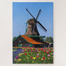 Zoek naar nederlands puzzels Tulpen