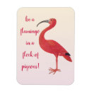 Recherche de flamants magnets Pour elle