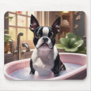 Recherche de chien rose électronique Amoureux des chiens