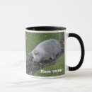 Recherche de porc tasses Jambon