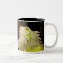 Recherche de iguane tasses Vert