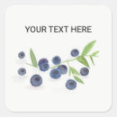 Recherche de myrtille autocollants Nourriture