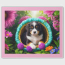 Zoek naar mand cadeaupapier Schattig