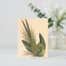 Recherche de naturaliste cartes postales Vacances