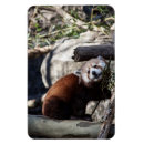 Recherche de bambou magnets Mammifère