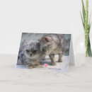 Recherche de abréviation vœux cartes Amour