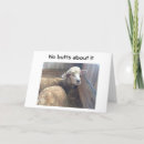 Zoek naar mops kaarten Volwassen mop