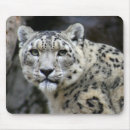 Recherche de felines tapis souris Blanc