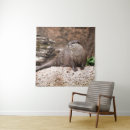 Recherche de otter posters Mammifère aquatique