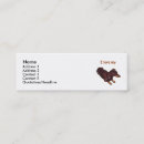 Recherche de teckel cartes visite Mignon