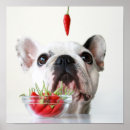 Zoek naar hond posters Close up