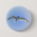 Recherche de mouette badges Ciel