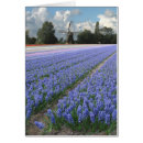 Recherche de gisement de fleur Floral