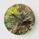 Recherche de mammifères horloges Nature