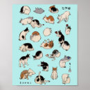 Recherche de bobtail posters Chat