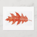 Zoek naar rode eik briefkaarten Land