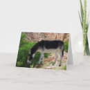 Zoek naar burro kaarten Dier