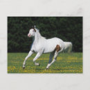 Recherche de peinture de cheval cartes postales Course