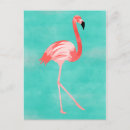 Recherche de oiseau exotique cartes postales Tropicaux