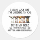 Recherche de de chiwawa autocollants Chihuahua